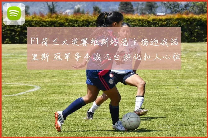 F1荷兰大奖赛维斯塔潘主场迎战诺里斯 冠军争夺战况白热化扣人心弦